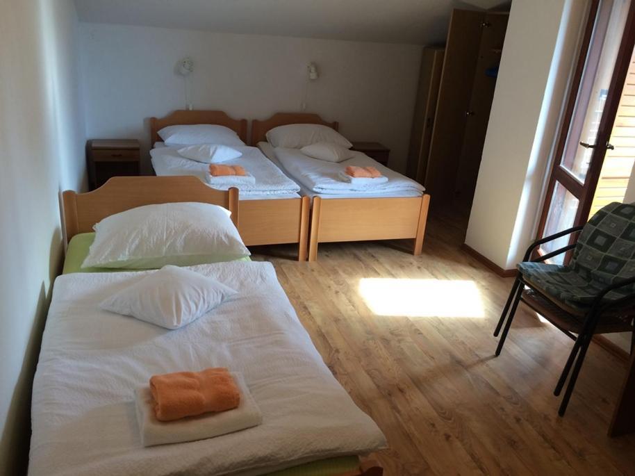 罗维尼Vila Albatros住宿加早餐旅馆 外观 照片