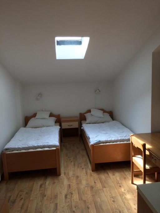 罗维尼Vila Albatros住宿加早餐旅馆 外观 照片