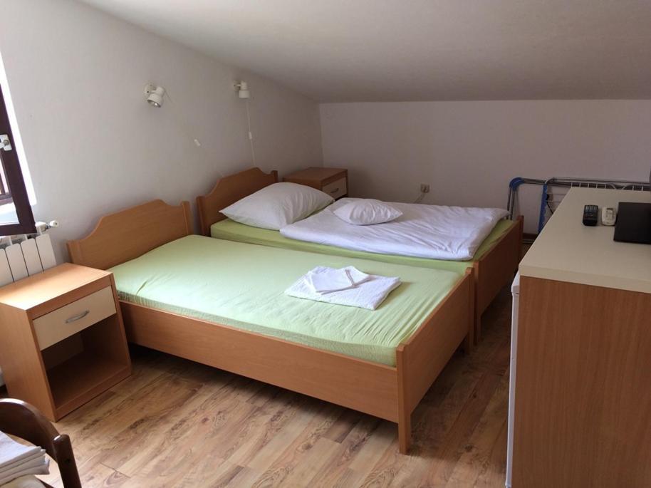罗维尼Vila Albatros住宿加早餐旅馆 外观 照片