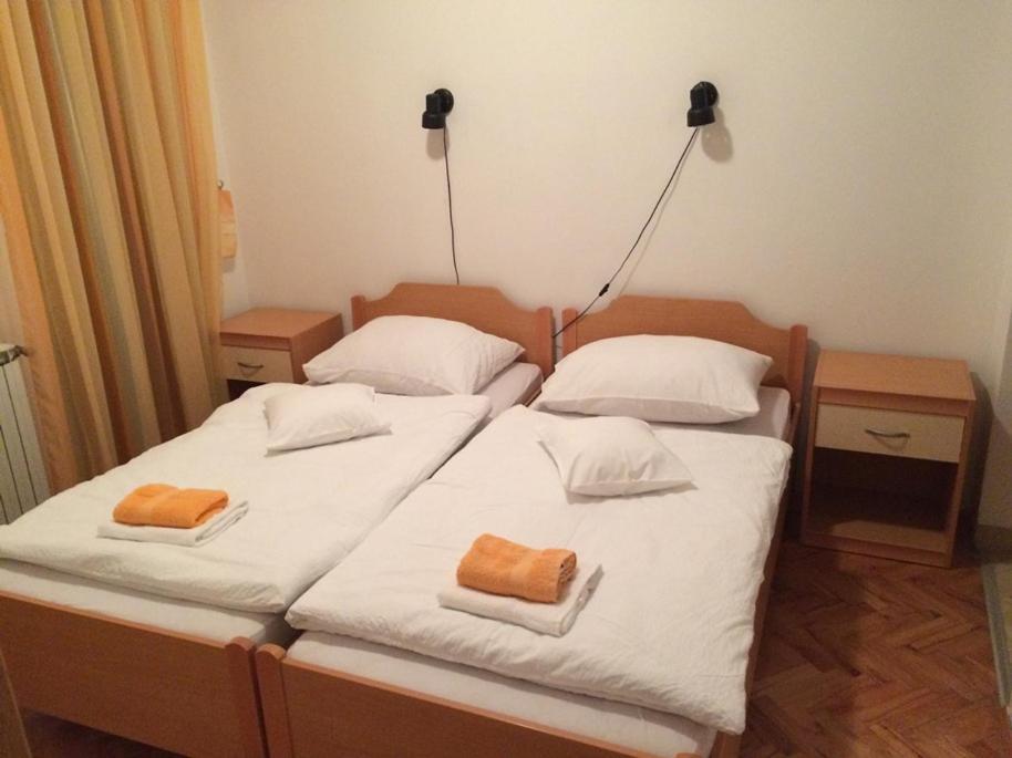 罗维尼Vila Albatros住宿加早餐旅馆 外观 照片