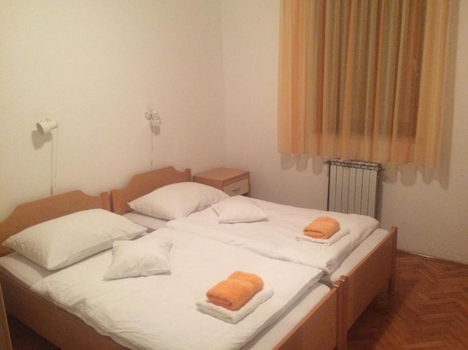 罗维尼Vila Albatros住宿加早餐旅馆 外观 照片